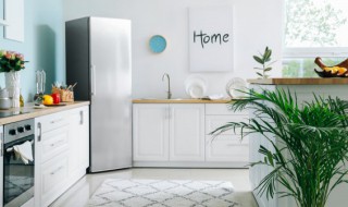 水面放冰箱冷冻行吗 水面放冰箱冷冻行不行