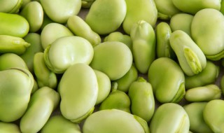蚕豆是热性还是凉性 蚕豆属于热性还是凉性的呢