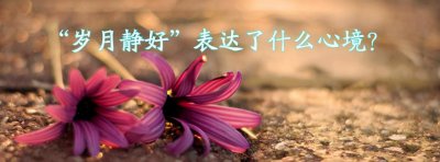 岁月静好的真正含义 岁月静好表达了什么心境