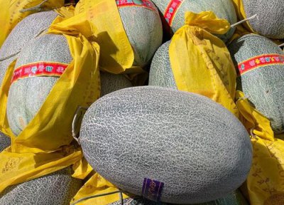 哈密瓜怎么榨汁好喝 哈密瓜果汁的做法大全与搭配窍门