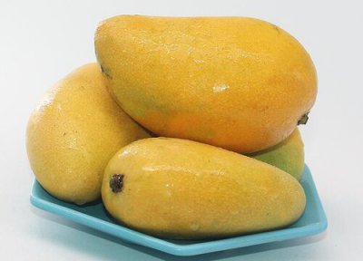 芒果是热性还是凉性 芒果属于热性还是凉性