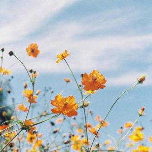 珍惜时间的唯美句子 珍惜时光的温柔早安语录盘点