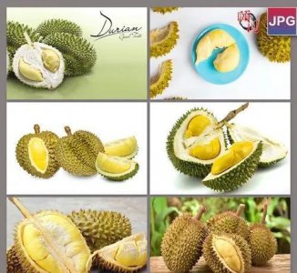 吃榴莲的季节是几月份 榴莲通常在夏秋两季食用最好