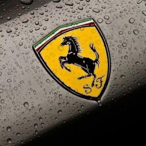 车标是奔跑的马是什么牌子的车 用马作为车标的四款车