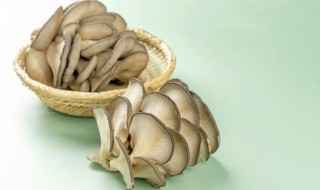 家常干炸蘑菇窍门 干炸蘑菇做法