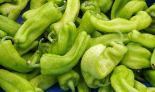 青椒如何保鲜放到冬季储存 青椒的保存方法