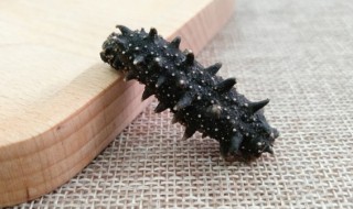 如何判断干海参的好坏 判断干海参的好坏有什么方法