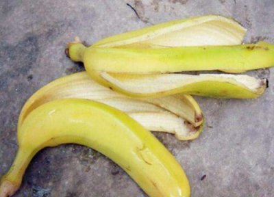 香蕉皮做肥料 香蕉皮可以做肥料吗