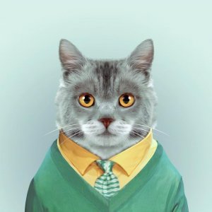 高情商早安暖心话 适合发朋友圈的早安正能量问候语录