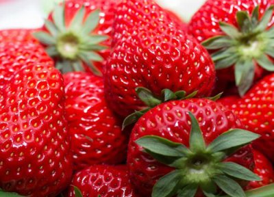 草莓种植条件 草莓栽培技术