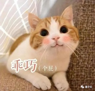 猫咪是否听懂自己名字 猫咪听得懂人类说话的语气吗