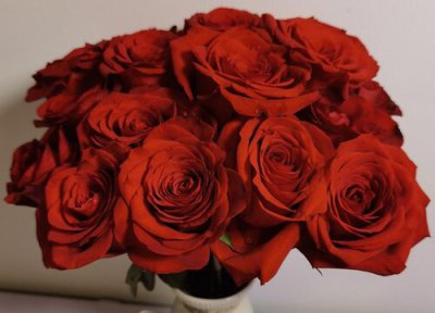 玫瑰可以在水里养多久时间 玫瑰鲜花怎么养不会枯萎