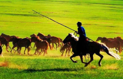 中国最大城市是哪一个 面积最大城市超25万平方千米