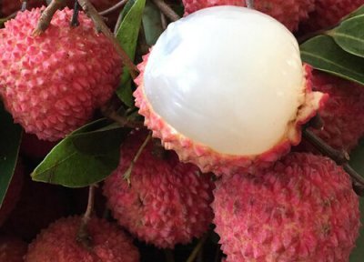 维生素D有什么水果 维生素d的水果有哪些