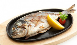 鱼哪个部位最好吃 鱼什么部位的肉最好吃