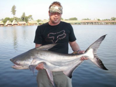 成吉思汗鲨是鲨鱼吗 成吉思汗鲨是一级保护动物吗