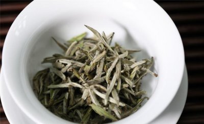 白毫银针口感与特点 白毫银针茶是怎样的香气口感