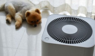 怎么选择家用空气净化器 如何选择家用空气净化器
