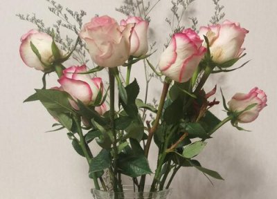 鲜花水里放什么可以保鲜更长久 插在水里怎么长时间保存