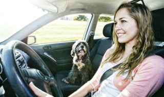 怎么判断车身是否直了 如何判断车身是否直了