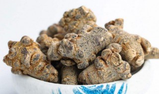 吃田七的禁忌 田七的食用禁忌有哪些