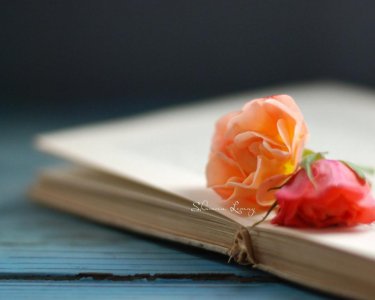 女生如何拿下喜欢的男生 如何攻略喜欢的男生吸引他