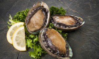 鲍鱼怎么洗简单方法 鲍鱼如何清洗简单方便呢