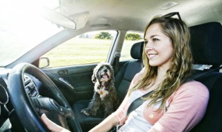 如何清理车的灰尘 怎么清理车的灰尘