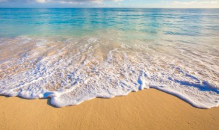 男生去海边要准备什么 男生去海边要准备哪些东西