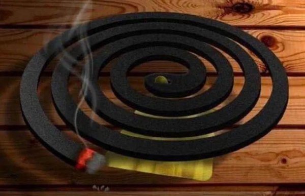 夏天的小飞虫怎么能消除它