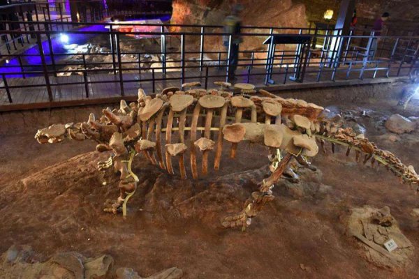 河南汝阳县属于哪个市