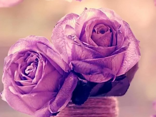 双鱼座天生能力特性