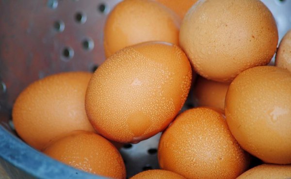 夏天鸡蛋怎样储存不容易坏