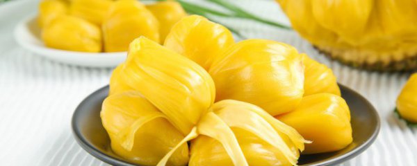 生的菠萝蜜能吃吗