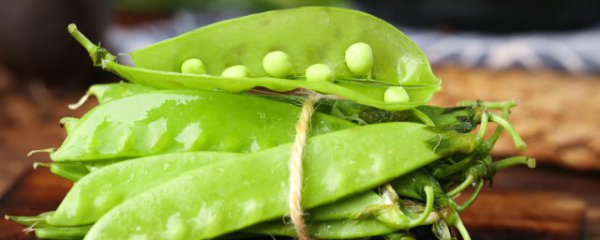 荷兰豆做法大全家常菜