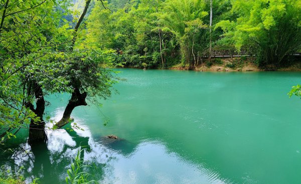 贵州荔波小七孔风景区景点介绍