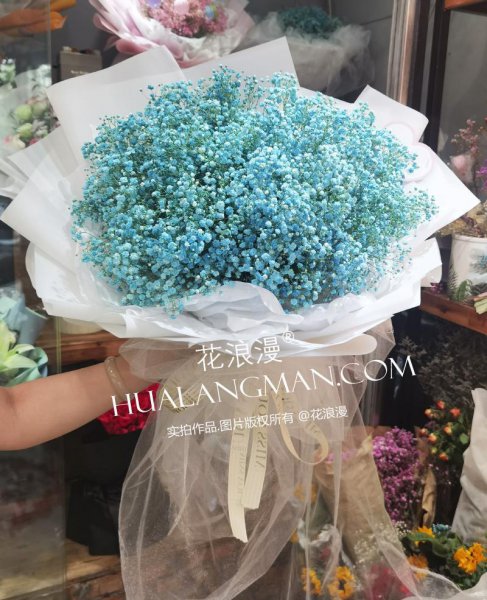 送姐姐花束适合什么花