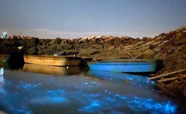 我国大陆海岸线长达多少千米