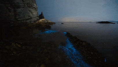 我国大陆海岸线长达多少千米