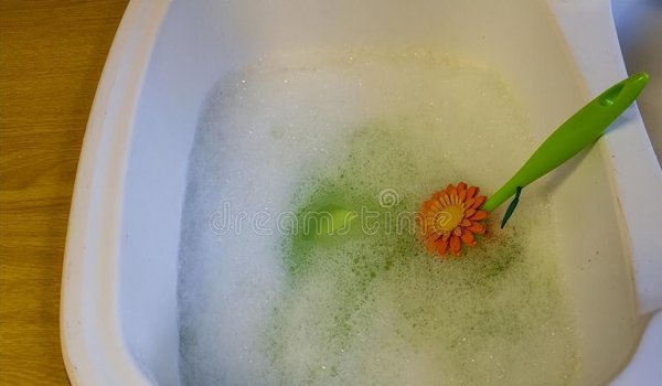 家有蚂蚁怎么根除小妙招