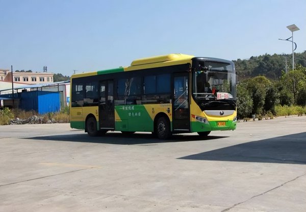 b1驾驶证能开什么车型