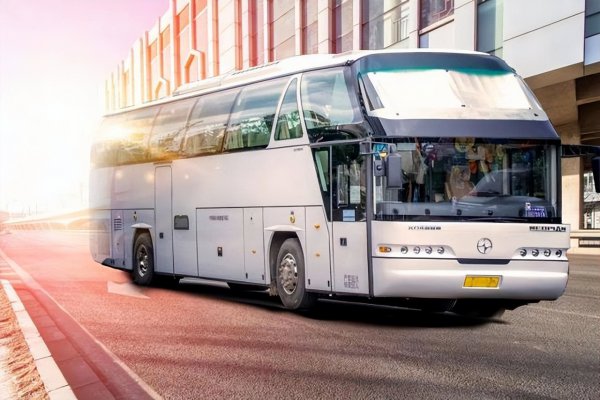 b1驾驶证能开什么车型