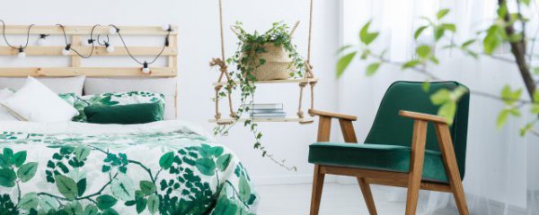 新房子放什么东西吸收甲醛最快