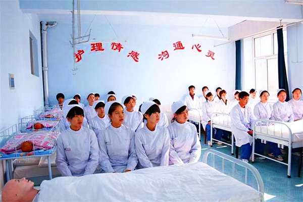 中考普职分流是什么意思