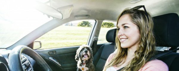 冬天汽车能加热多久