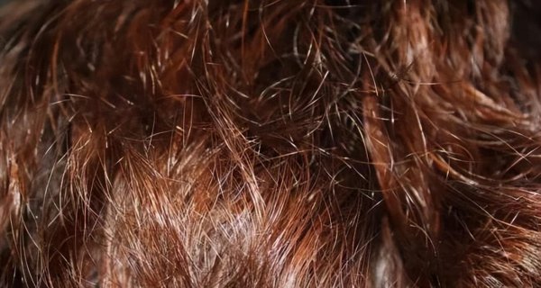 沙发发质是最差的发质吗