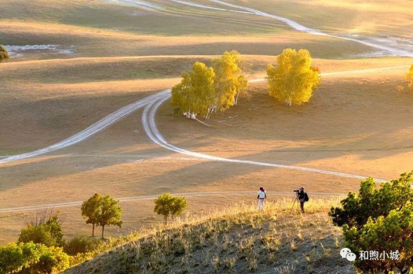 坝上草原在河北什么地方