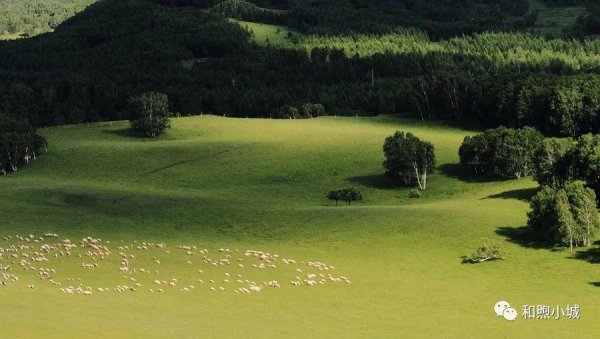 坝上草原在河北什么地方