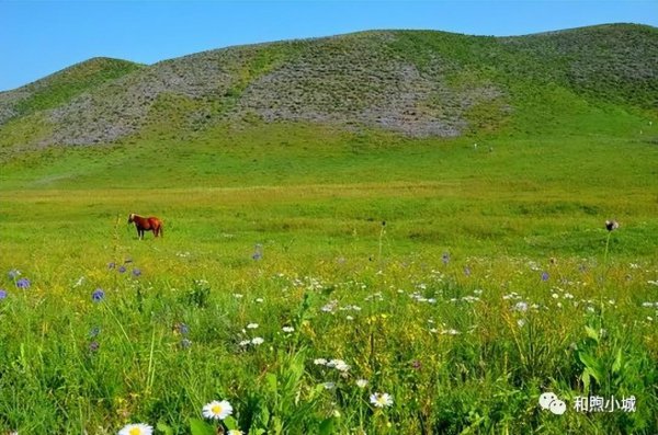 坝上草原在河北什么地方