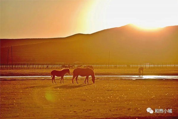 坝上草原在河北什么地方